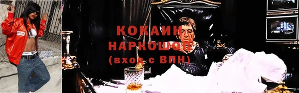 прущие грибы Михайловка