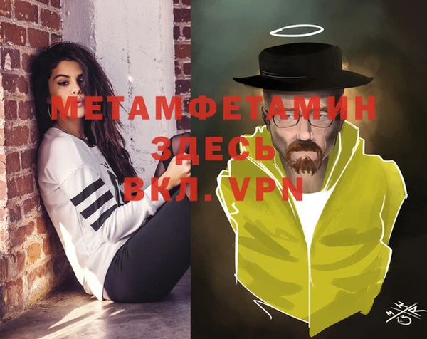 прущие грибы Михайловка