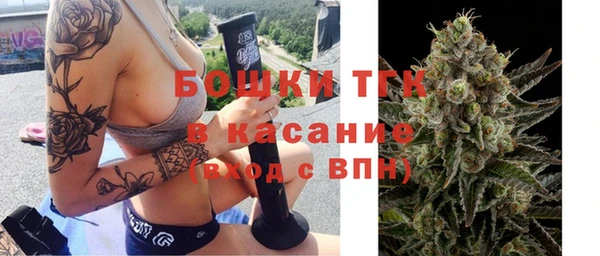 стафф Михайлов