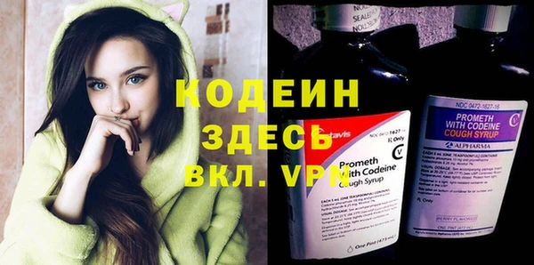 дживик Михайловск