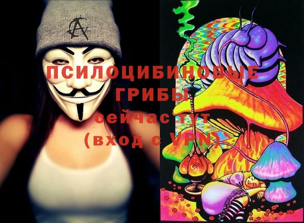 стафф Михайлов