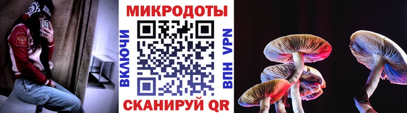 Псилоцибиновые грибы Cubensis  Купить где  Жуков
